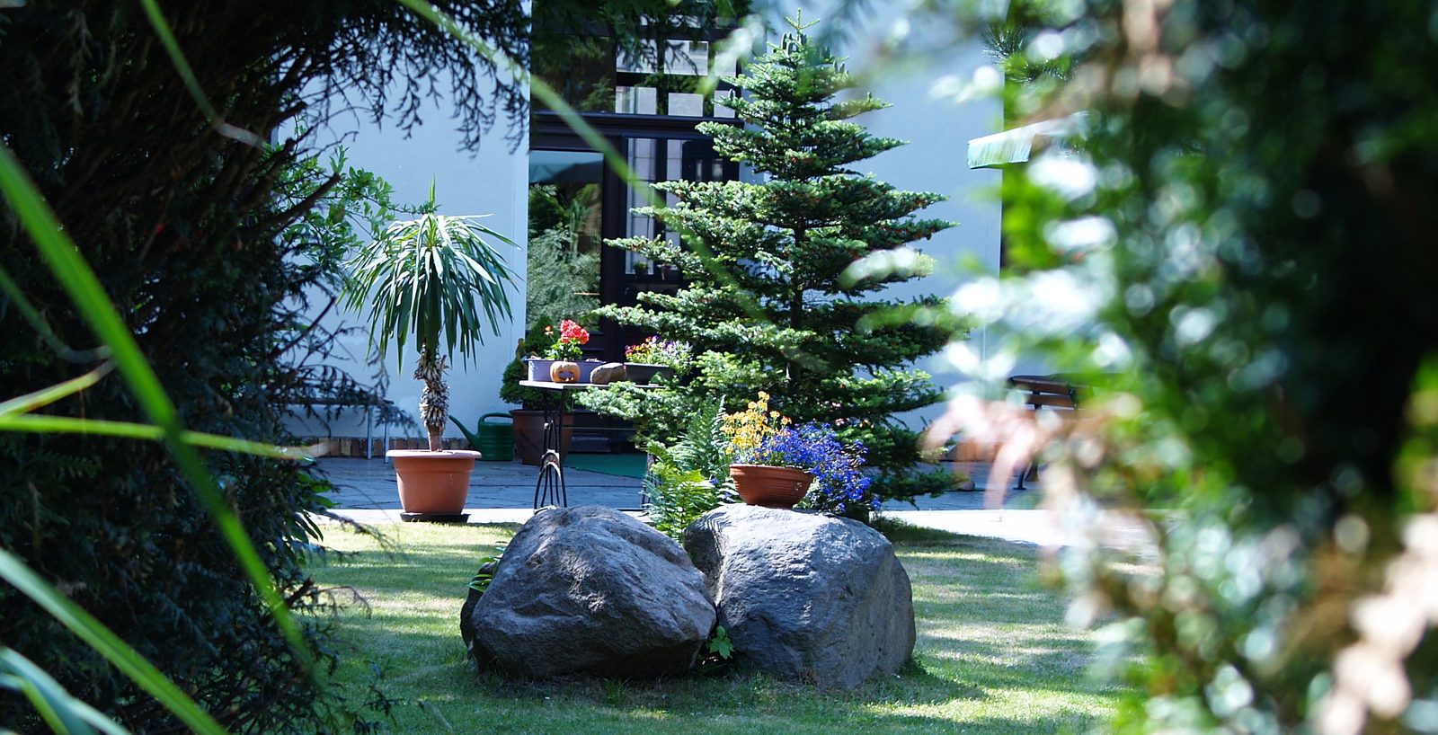 Studiogarten im Sommer