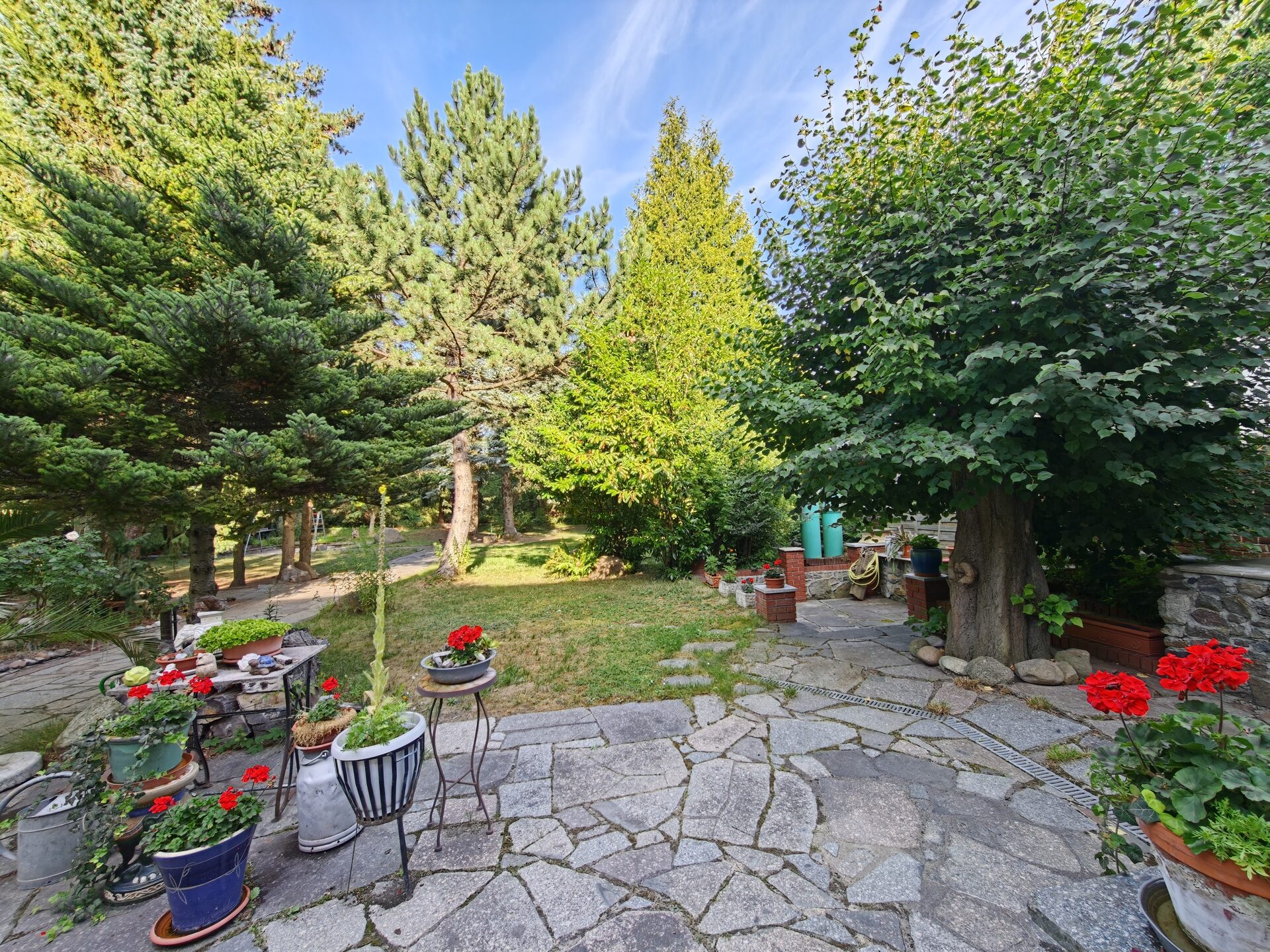 Blick in den gepflegten Studiogarten