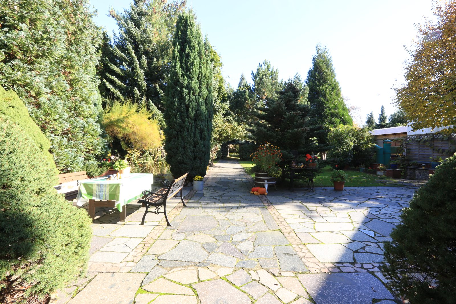 Blick in den Studiogarten